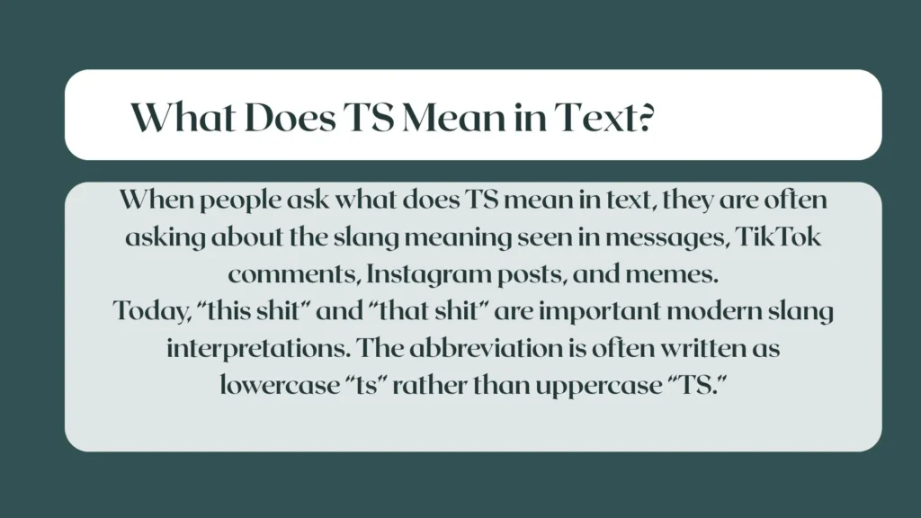 What Does TS Mean in Text?