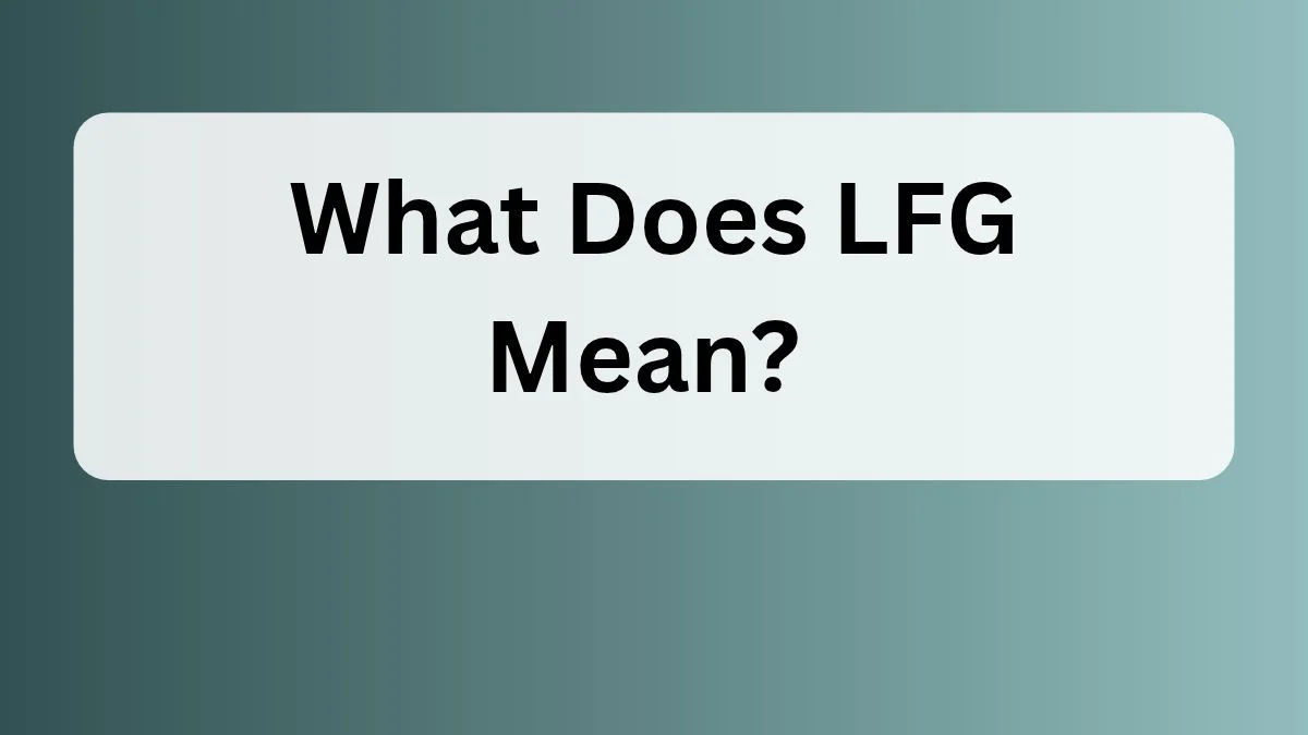 What Does LFG Mean?