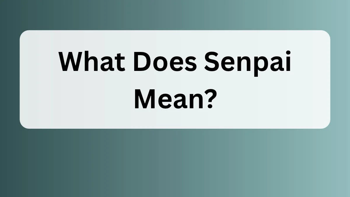 What Does Senpai Mean?