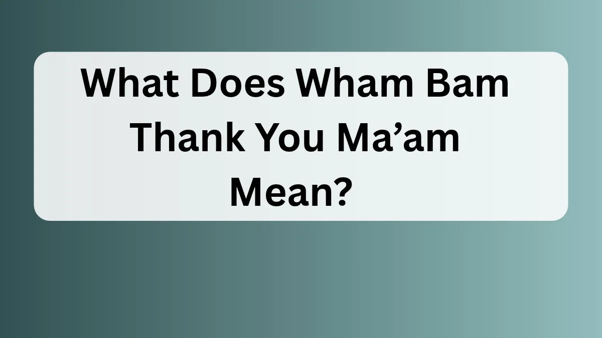 What Does Wham Bam Thank You Ma’am Mean