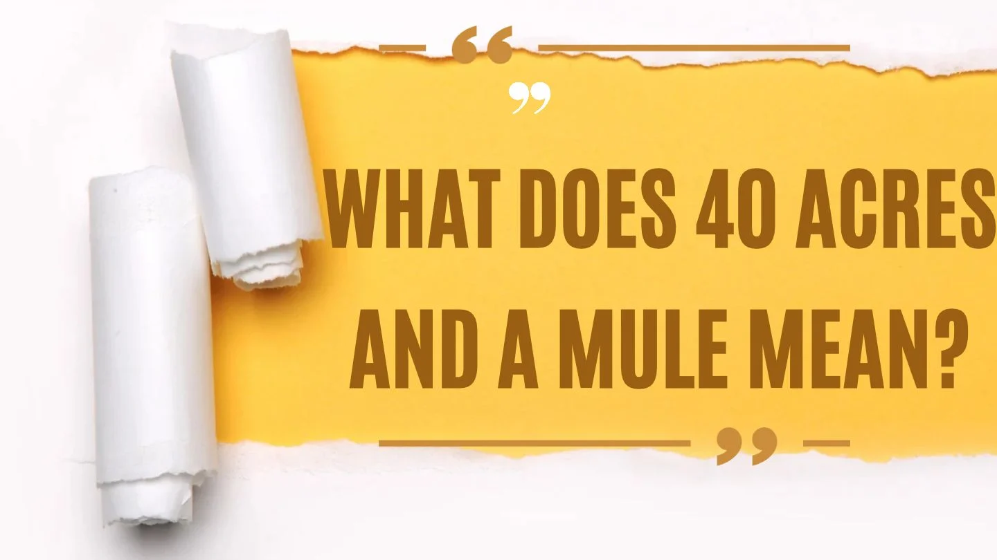 What Does 40 Acres and a Mule Mean?