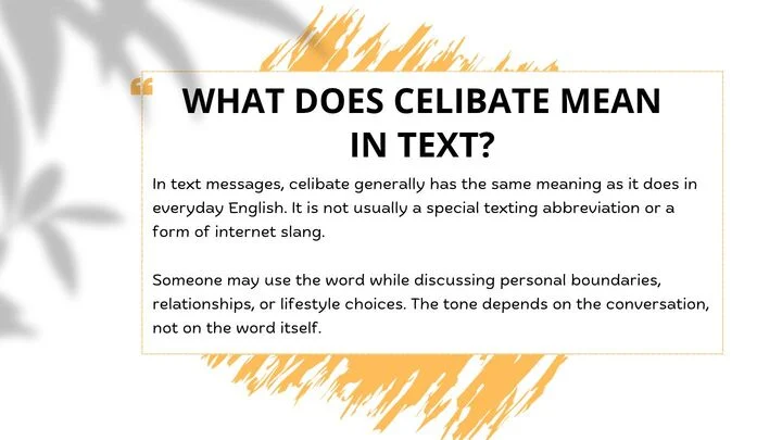 What Does Celibate Mean in Text?
