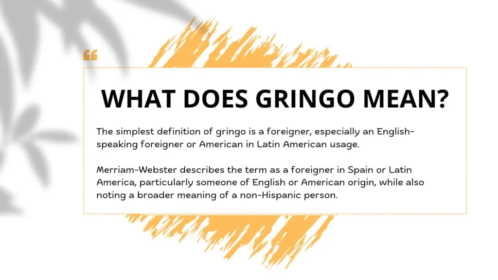 What Does Gringo Mean?