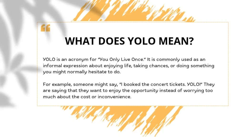 What Does YOLO Mean?