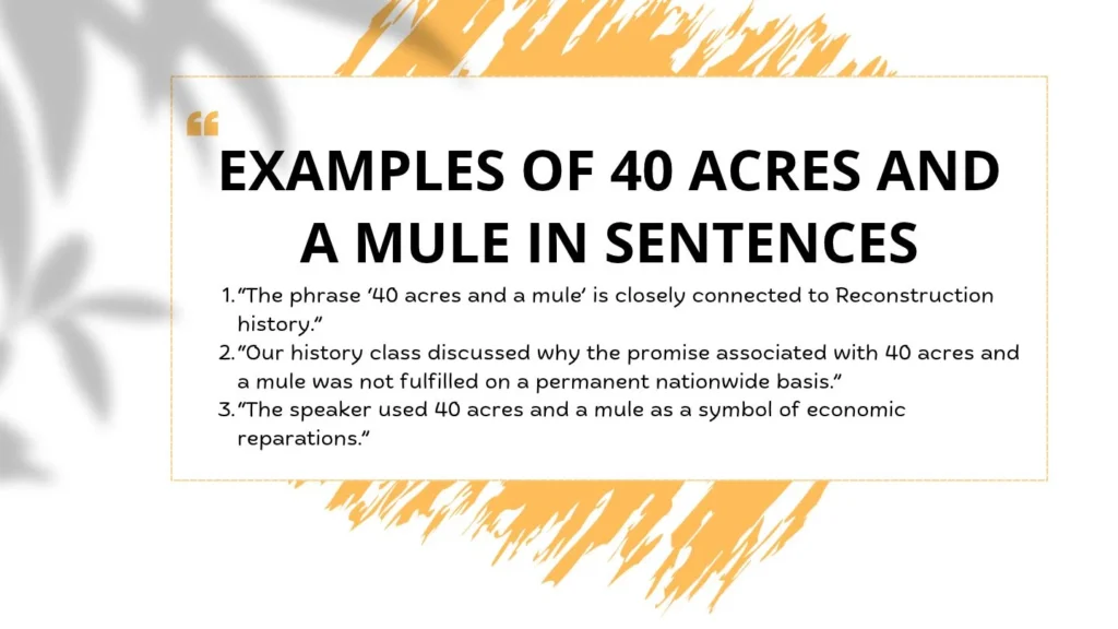 Examples of 40 Acres and a Mule in Sentences