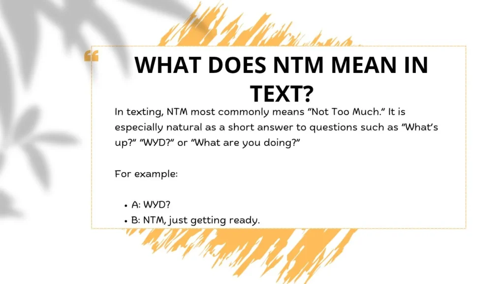 What Does NTM Mean in Text?
