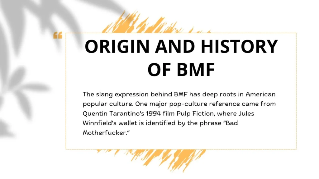Origin and History of BMF