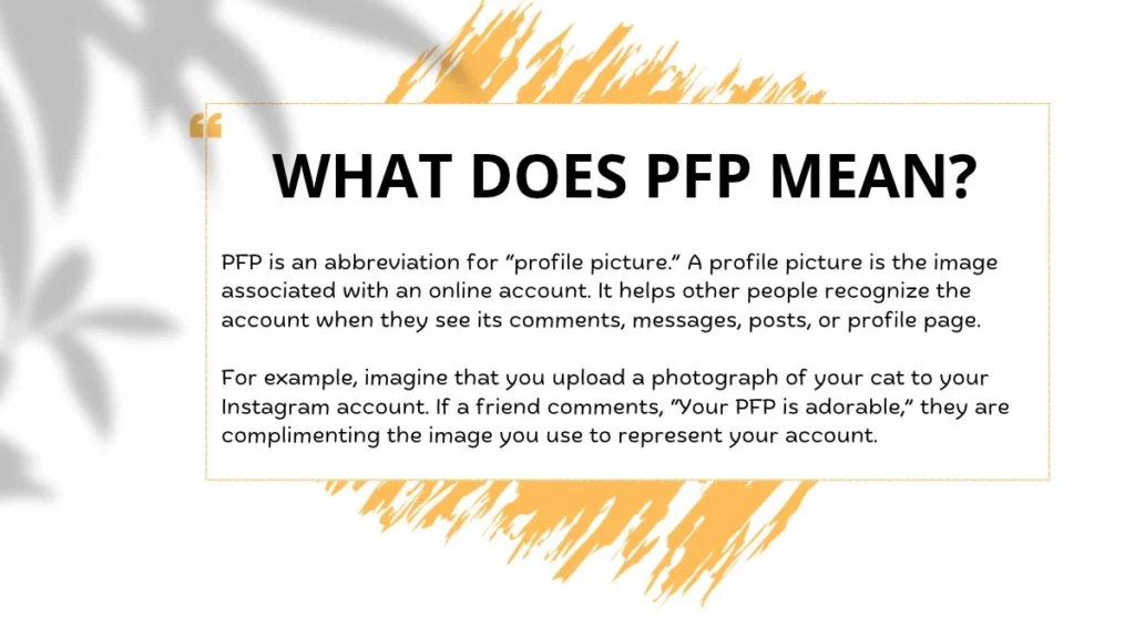 What Does PFP Mean? Definition and Full Meaning