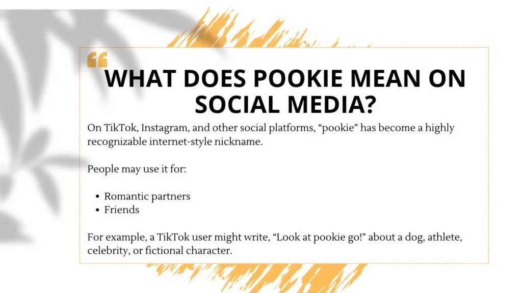 What Does “Pookie” Mean on Social Media?
