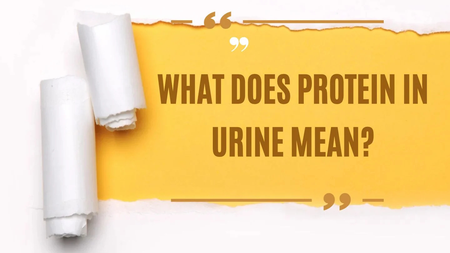 What Does Protein in Urine Mean?
